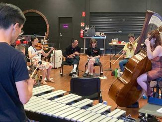 Participants at a Momentum Leaders session - courtesy of Australian Youth Orchestra