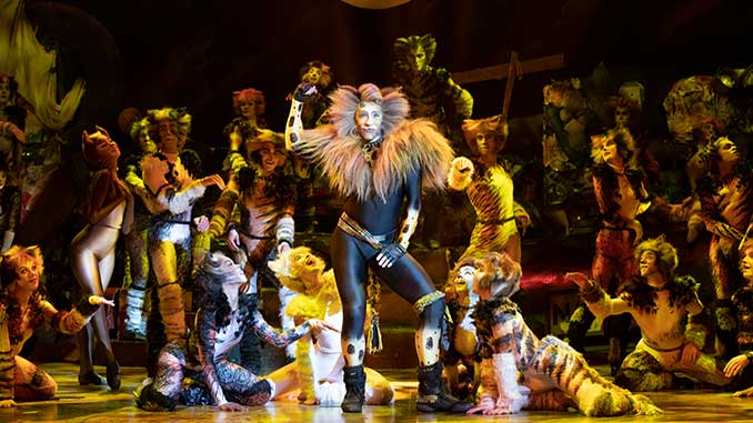 CATS Rum Tum Tugger and 2022 International Tour Company photo by Alessandro Pinna