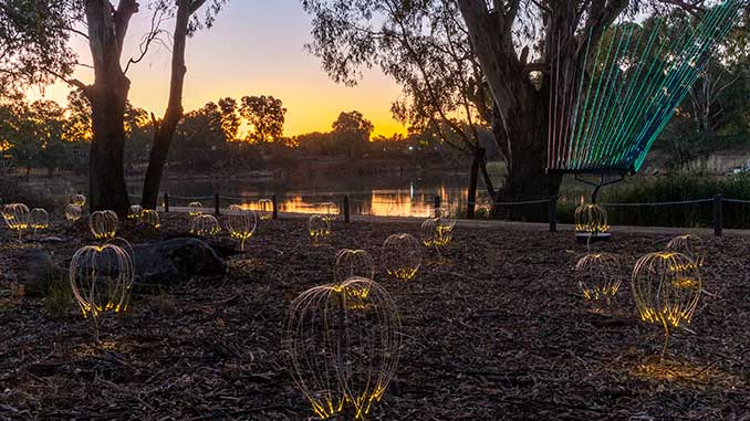 Mildura Bruce Munro Trail of Lights photo by Serena Munro