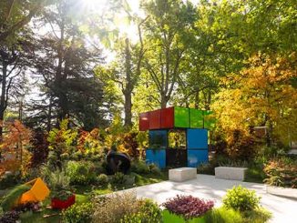 MIFGS Straightcurve Breaking Free - Bayley LuuTomes Design & Bespoke Landscapes