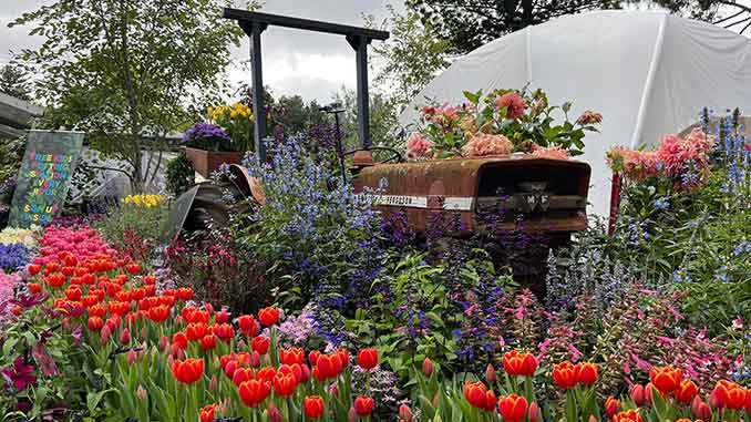 MIFGS Tractor and tulips