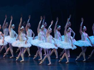 Victorian State Ballet Swan Lake
