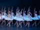 Victorian State Ballet Swan Lake